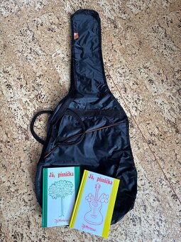 Španělská kytara (Molina) - 3