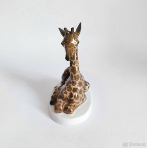 Starožitná porcelánová figurka žirafy - ROSENTHAL - 3