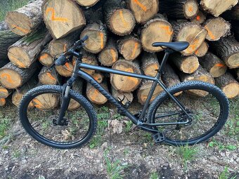 Specialized Rockhopper, XL, 29” - 3