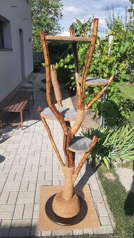 Kocici strom - škrabadlo pro kocky - 3