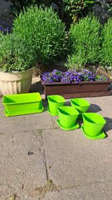 Dortová forma, zapékací misky, lapač vos, květináčky, - 3