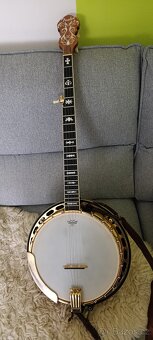 Pětistrunné banjo Fendr - 3