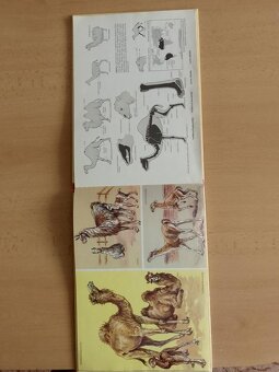 Staré dětské knihy - 3