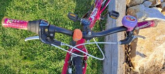 Superior Paint 20"- PĚKNÉ - 3