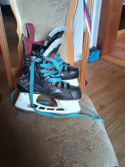 Brusle Bauer vapor - 3