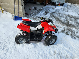 DĚTSKÝ POLARIS OUTLAW 89ccm - 3