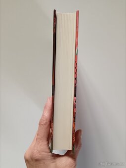 Pouštní dívka - 3