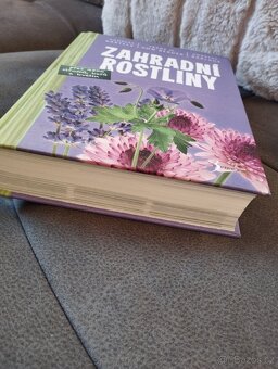 Zahradní rostliny - 3