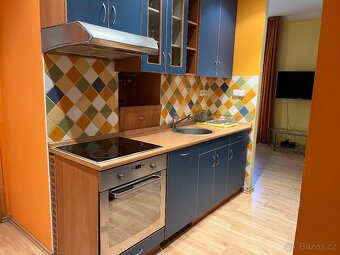 Pronájem bytu 1+kk 50 m² (Jednopodlažní) - 3