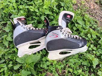 Pánské brusle Botas vel. 42 - 3