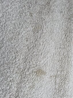 Koberec shaggy 200x300 - 3