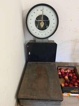 Váha do 100kg - 3