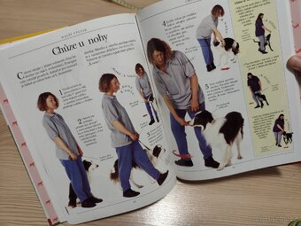 Vše o výcviku psa - 3