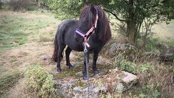 Ježdéní / Pony / školka - 3