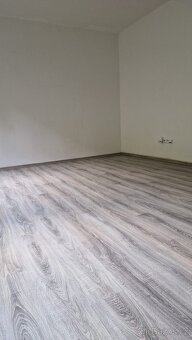 NOVOSTAVBA 1+KK Chrudim, Podkopanický Mlýn - 3