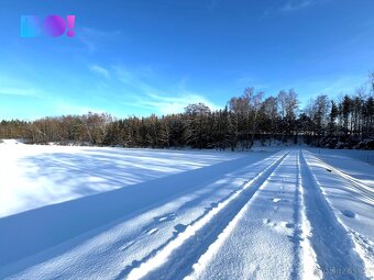 Prodej lesa, 43 856 m², Stržanov - 3