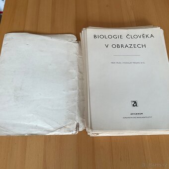 Retro- Biologie člověka v obrazech- A4 - 3