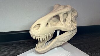 3d tisk hlava T-rexe Velka - 3