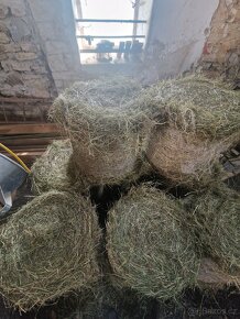 Malé balíky - seno - 3