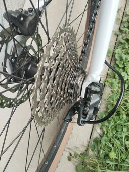 Horske kolo Focus - 3