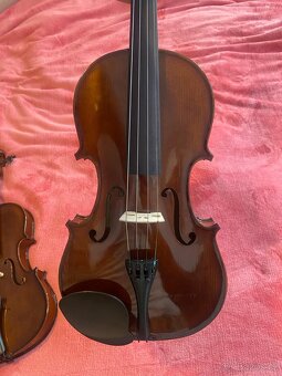 Violi - 3