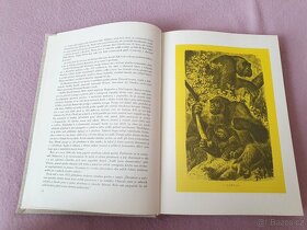 Kniha "Život zvířat -savci" - 3