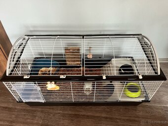 Zakrslý králík + komplet příslušenství. - 3