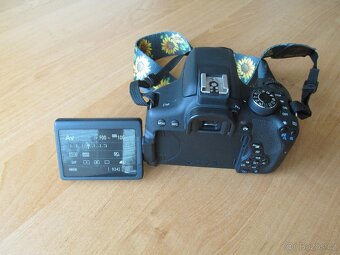 Canon 750D  +  Canon  EF-S 18-55 mm IS STM f/3,5-5,6 - 3