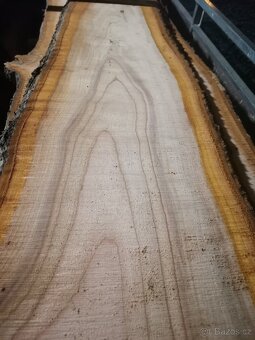 Fošny třešeň ptačí - 3