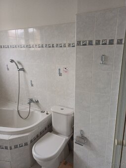 Zařizování předměty do koupelny - 3