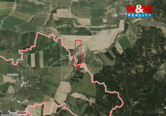 Prodej lesa, 11147 m², Paračov - 3