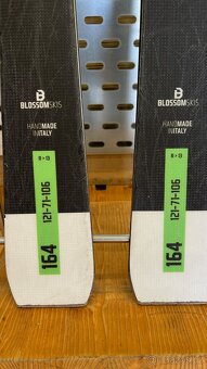 BLOSSOM N1 RC 164 cm + VIST SPEEDLOCK VM412 - 3