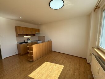 2KK+Balkon po rekonstrukci Br.Čapků 2868, volný od 1.8.2025 - 3