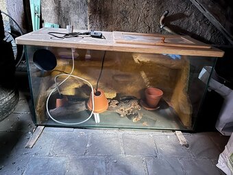 Terárium pro suchozemské plazy - 3