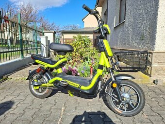 Sunra Sport SP - 3