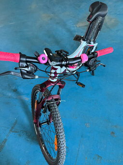 SCOTT CONTESSA JR26 - 3
