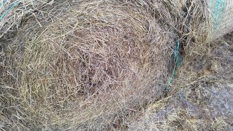 Kulaté balíky sena - 3