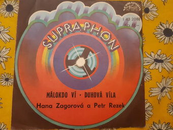 SP deska Hana Zagorová - 3