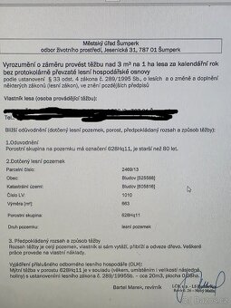 Prodám les v Bludově - 3