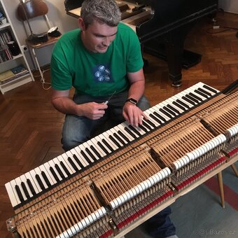 křídlo klavír Petrov grand piano - 3