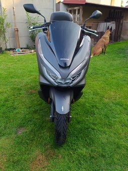 Honda PCX 125 - 3