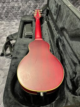 Cestovní kytara Washburn RO10 - 3
