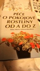 Péče o květiny - 3