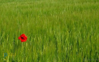 Nabízíme k prodeji exkluzívní byt s panoramatickým výhledem, - 3