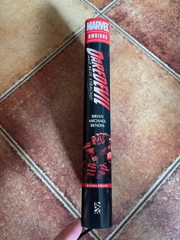 Daredevil Omnibus 1 - 3