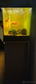 Akvarijni set vc. prisl., rybicek a skrinky pod akvarium - 3