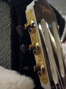 Kytara bílí lesk - 3