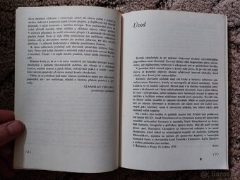 Cizokrajný ptáci v klecích - korely - Jan Dienstbier - 3
