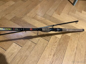WFT Pointer jig 3.1m 20-60gr - 3