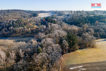 Prodej lesa, 685 m², Horšovský Týn - 3